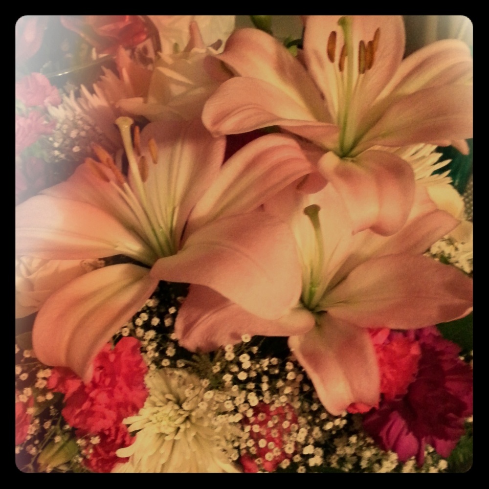 Meet your Posher, Kat